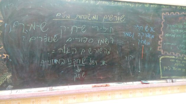 770 репатриантов - школьников “подтянут” за лето иврит и другие школьные предметы