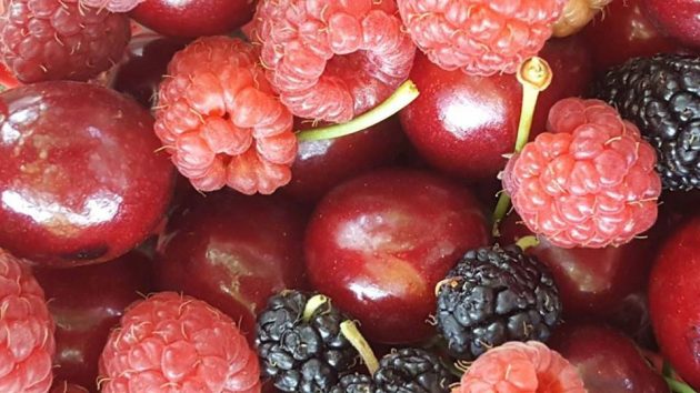 Приглашаем на экскурсию и сбор черешни, малины, ежевики