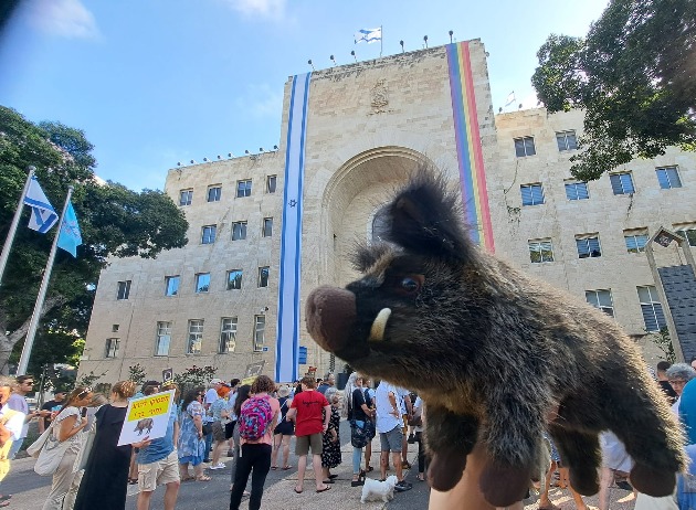 Смотрите, что рассказали участники многолюдного митинга в защиту диких кабанов (Видео)