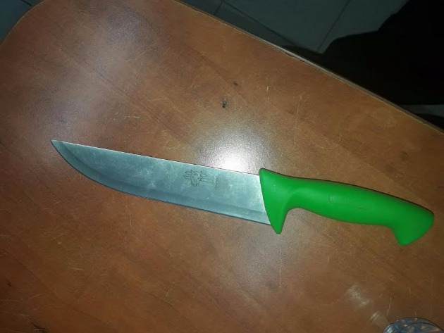 Поножовщина в Дэнии