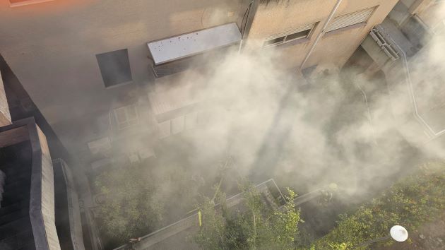 Спасение из огня: в Хайфе эвакуировали женщину и кота из горящей квартиры