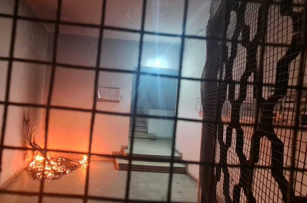 Пожары в Хайфе: подозрение на умышленный поджог