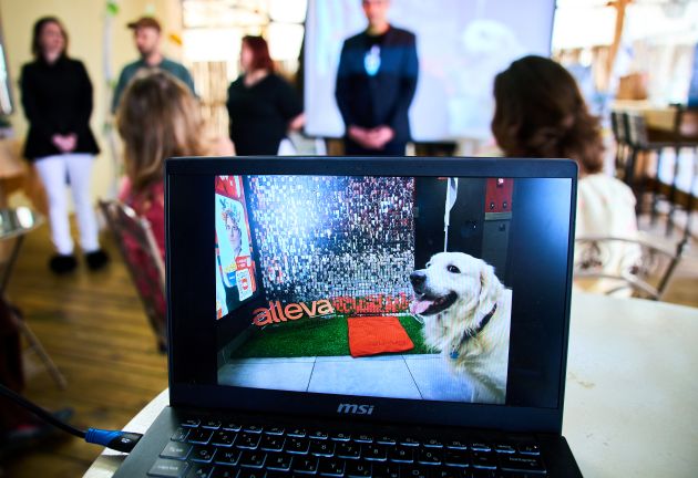 news