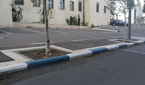Праздники: в городе бесплатная муниципальная стоянка