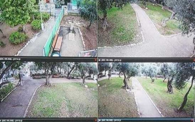 В Хайфе борятся с правонарушителями при помощи видеокамер и громкой связи