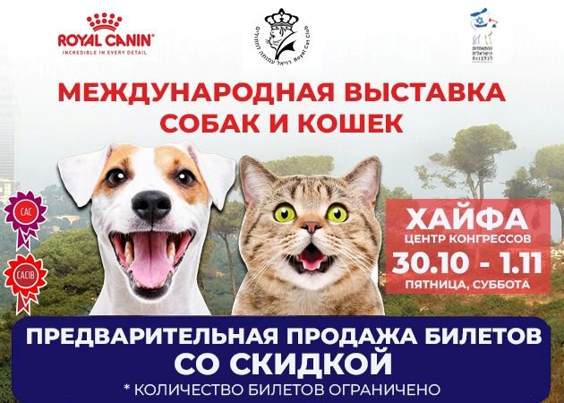 Международная выставка собак приезжает в Хайфу
