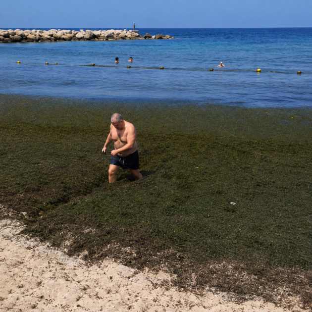 «Зеленое море»: что сегодня произошло на хайфском пляже